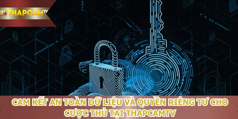 cam-ket-an-toan-du-lieu-va-quyen-rieng-tu-cho-cuoc-thu-tai-thapcamtv