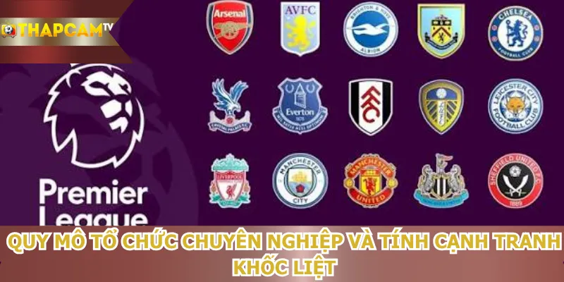 quy-mo-to-chuc-chuyen-nghiep-va-tinh-canh-tranh-khoc-liet