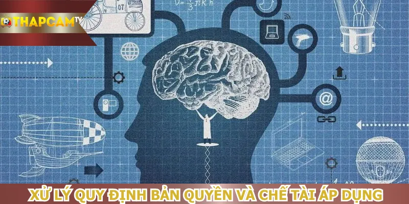 xu-ly-quy-dinh-ban-quyen-va-che-tai-ap-dung